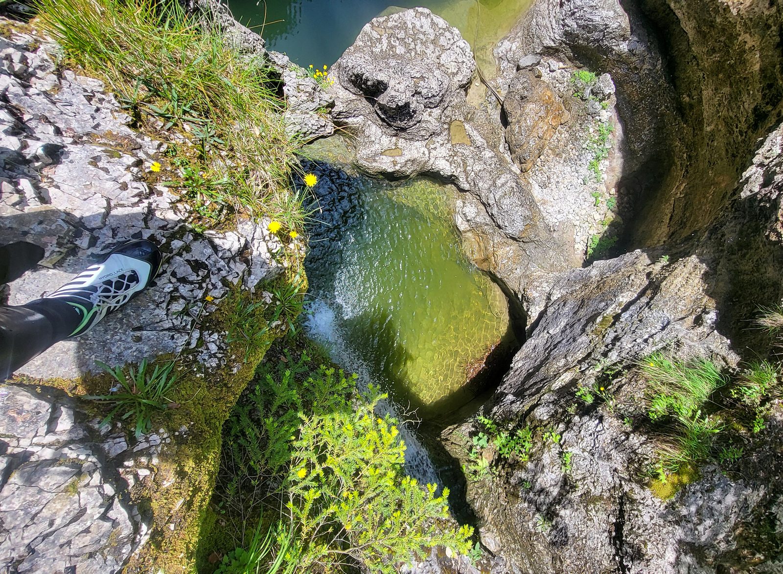 Blick von oben auf ein türkisfarbenes Becken im Almbach